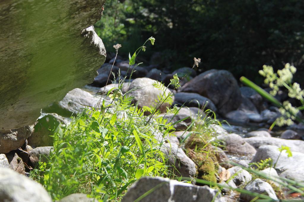 The Stone Villa Beli Iskar Dış mekan fotoğraf